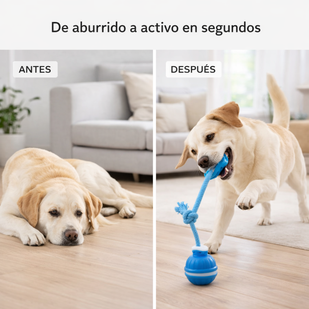 PlayRoll™ | La pelota interactiva que mantiene a tu perro entretenido