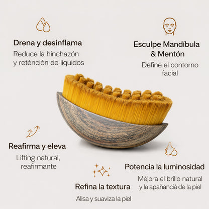 Cepillo Linfático™