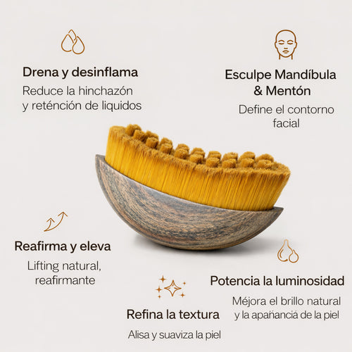 Cepillo Linfático™